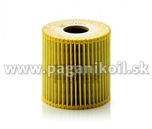 MANN HU 819/1 x