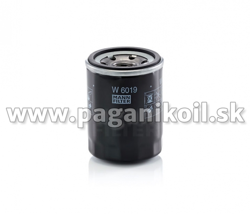 MANN W 6019
